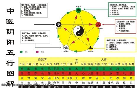 五味五行|五行（中医术语）